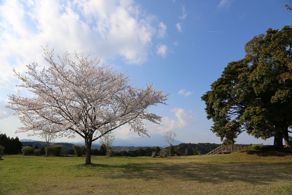 くまそ広場にて⑭