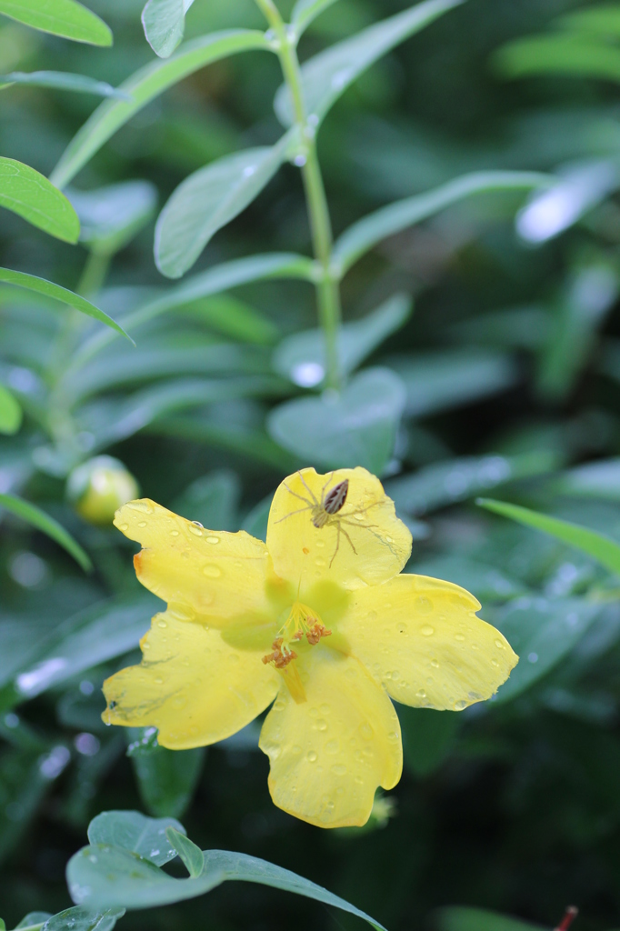 悲しみを止める