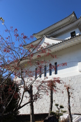 真弓と天ケ城