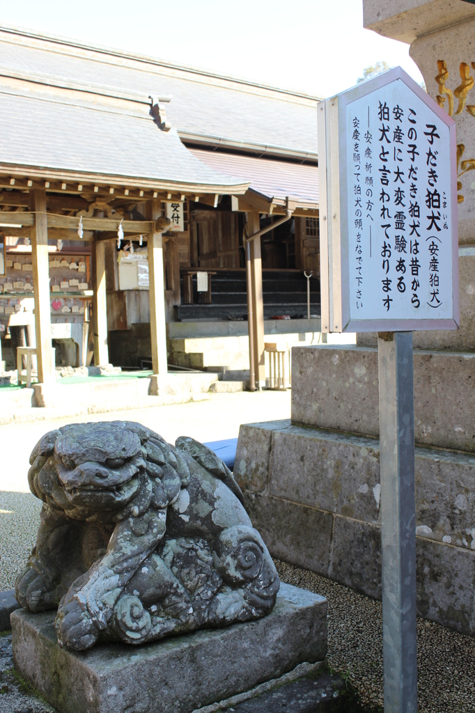 新田神社お参り紀行⑨