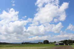 茶畑と夏空と霧島