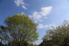 くまそ広場にて③