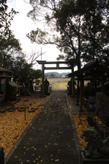 鳥居の向こうにも鳥居①