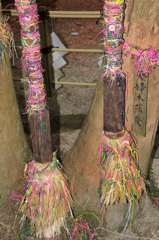 青島神社参り⑮