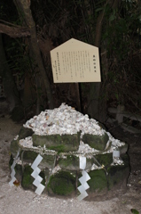 青島神社参り⑬