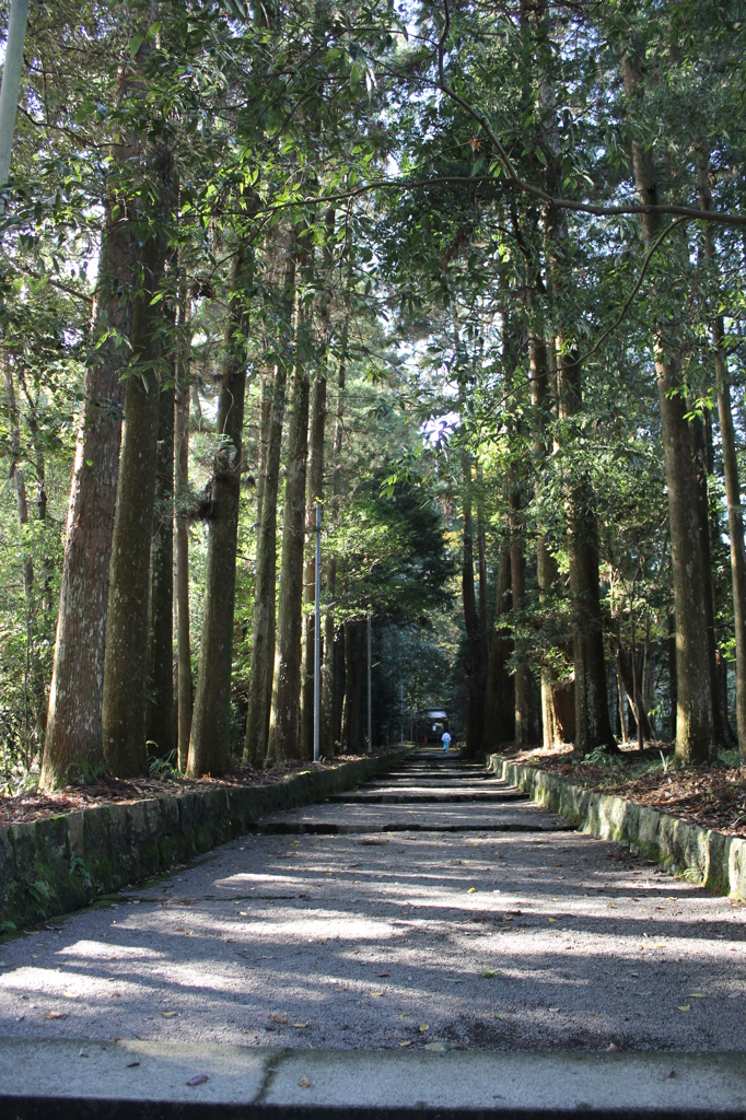 狭野神社その２