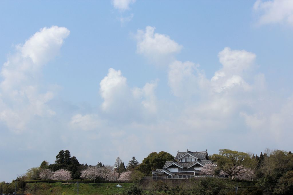 桜と都の城その１