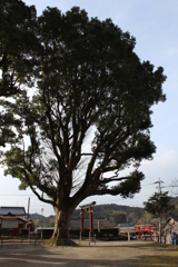 軍神社⑤
