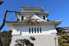 天ケ城公園その９