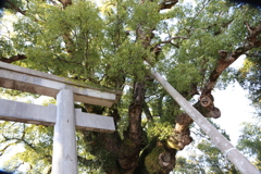 山宮神社⑨