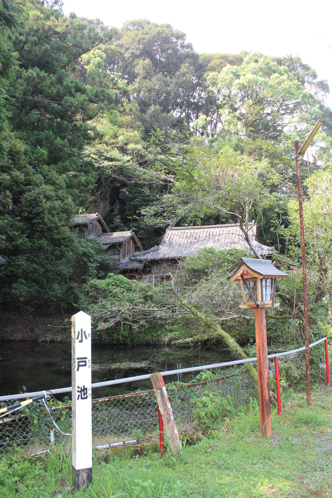 檍（あおき）神社参り④
