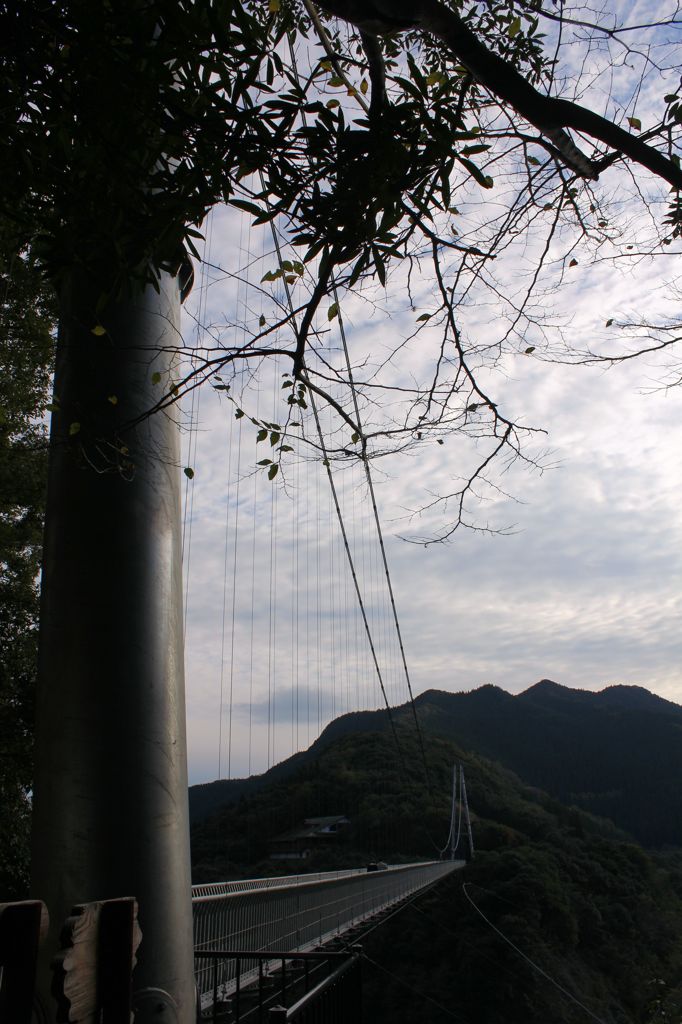 揺れる吊り橋⑥
