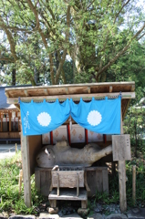 御神象