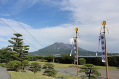 五月幟と桜島③