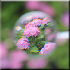 虫眼鏡打法１