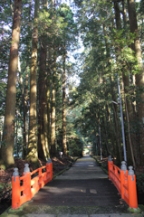 狭野神社その７