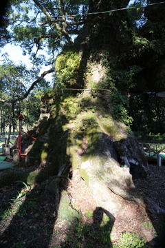 山宮神社⑦