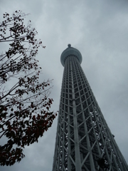 東京スカイツリー②
