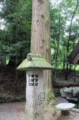 天岩戸神社⑤