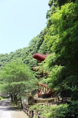 新緑の中の赤いらせん階段