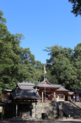 蒲生八幡神社その６