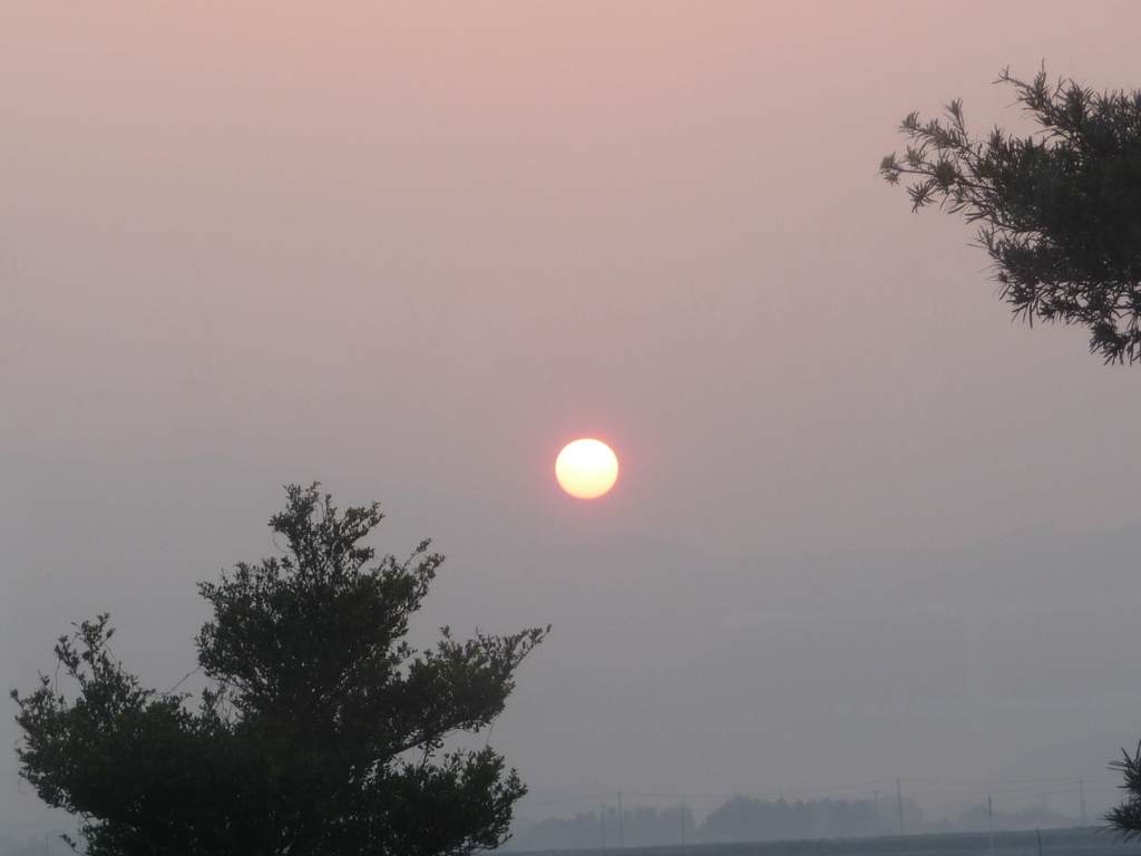 霧に抱かれた太陽