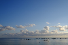 男鹿の海