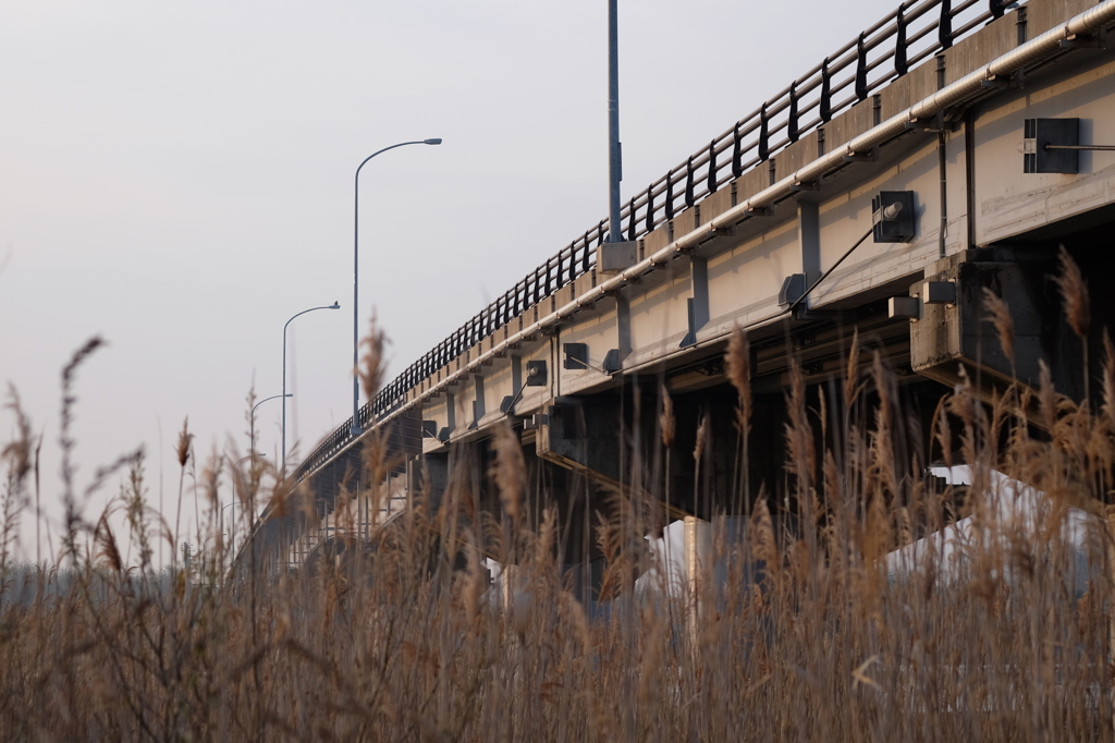 橋