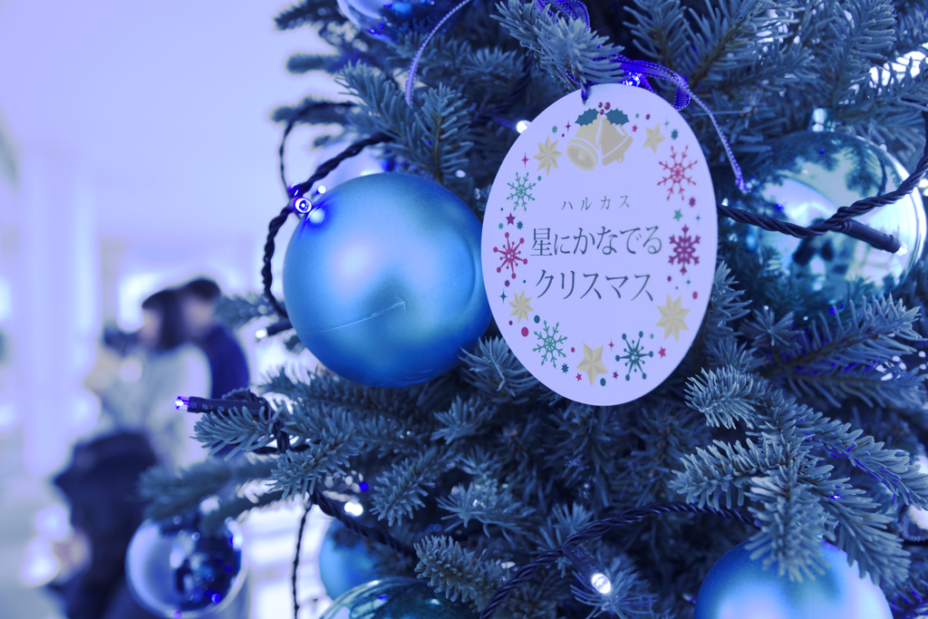 ハルカスのクリスマス