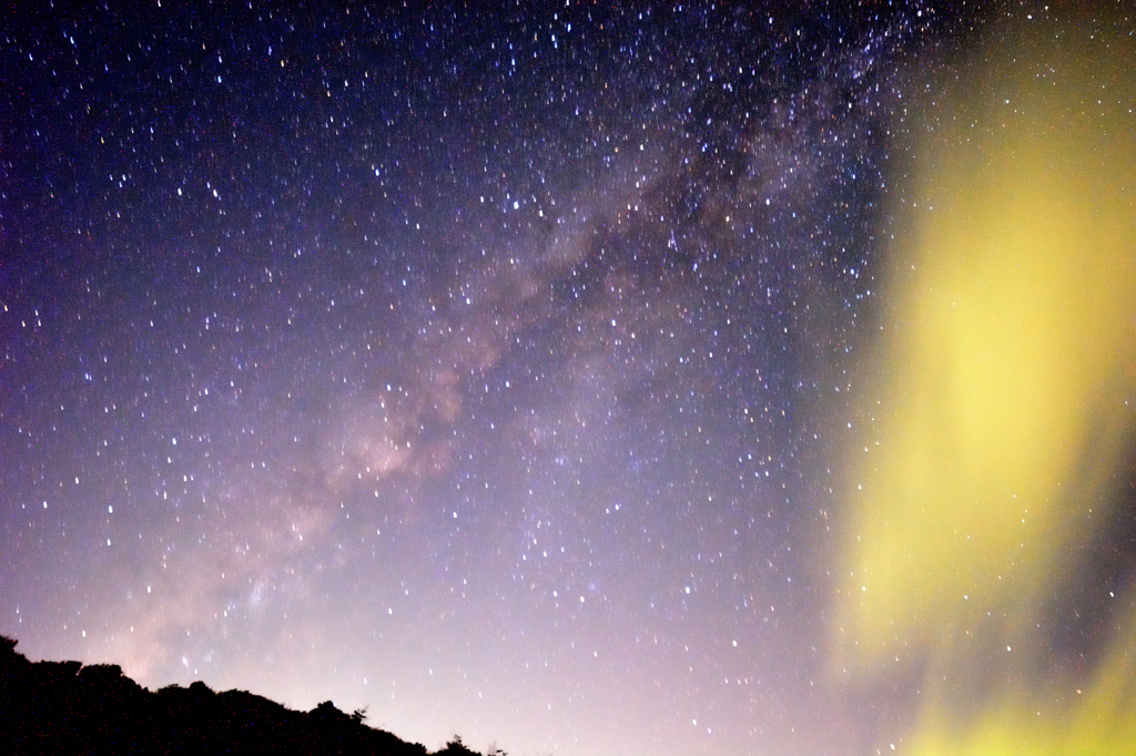 星降る夜に