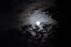 月と雲と木の影