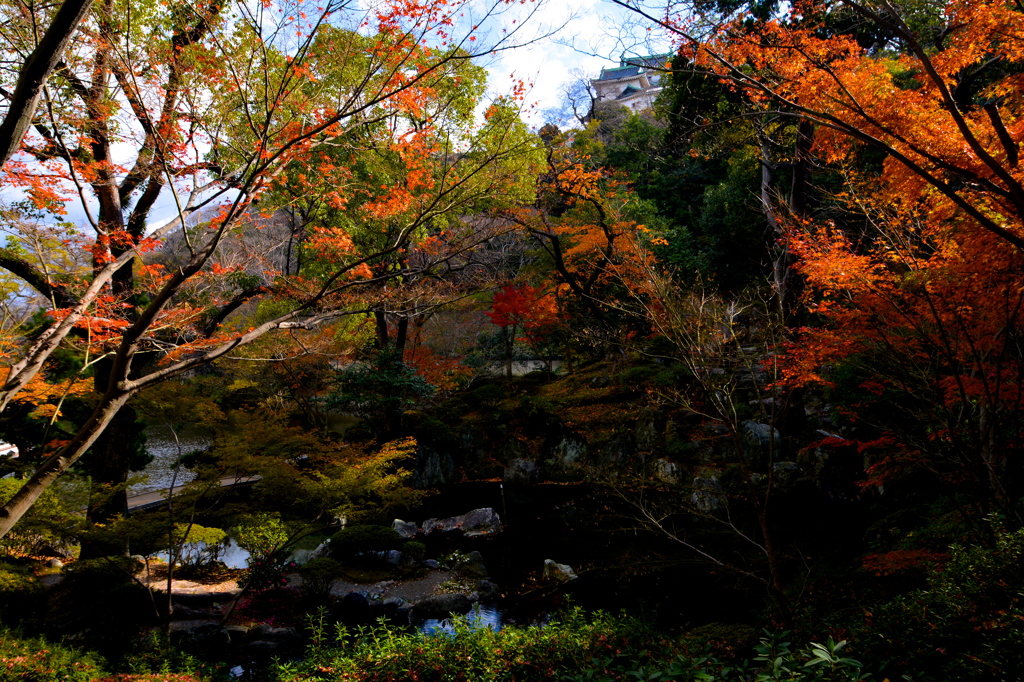 Late Autumn
