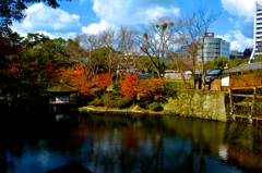 青空と紅葉