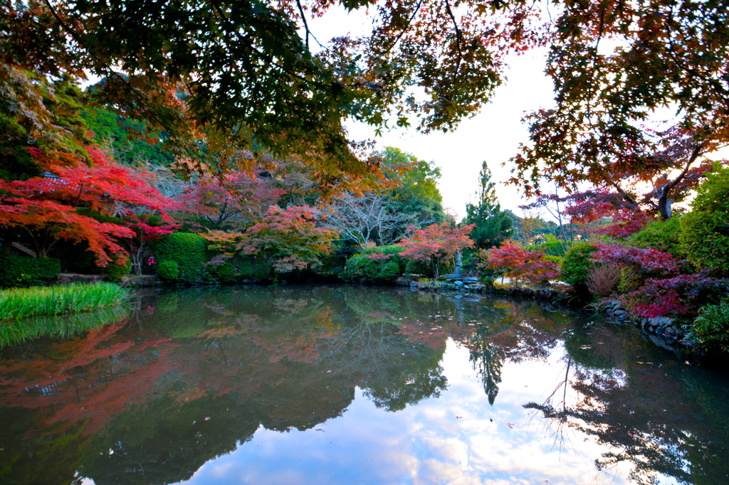 長岳寺映り込み