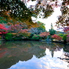 長岳寺映り込み