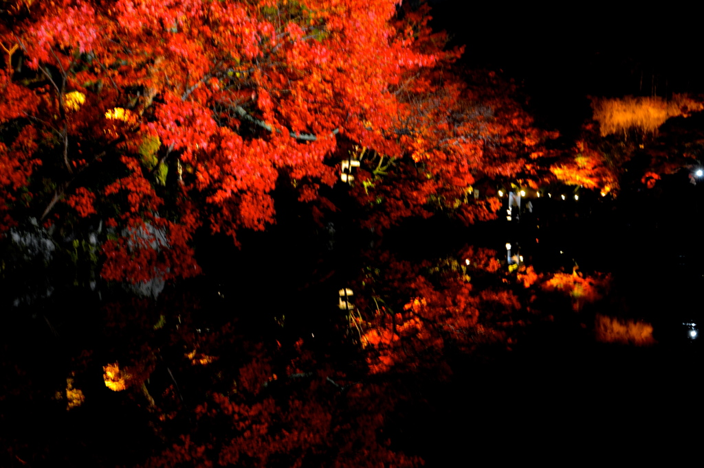 幻想的　清水寺