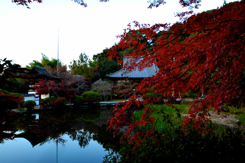 長岳寺紅葉