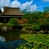 依水園