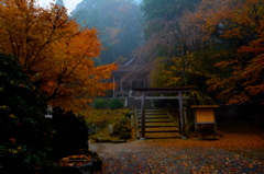 yoshino is autumn