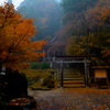 yoshino is autumn