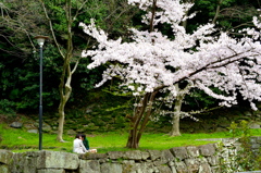 二人きりの春