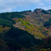 奥千本からの景色