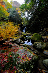 Nelle foglie d'autunno 