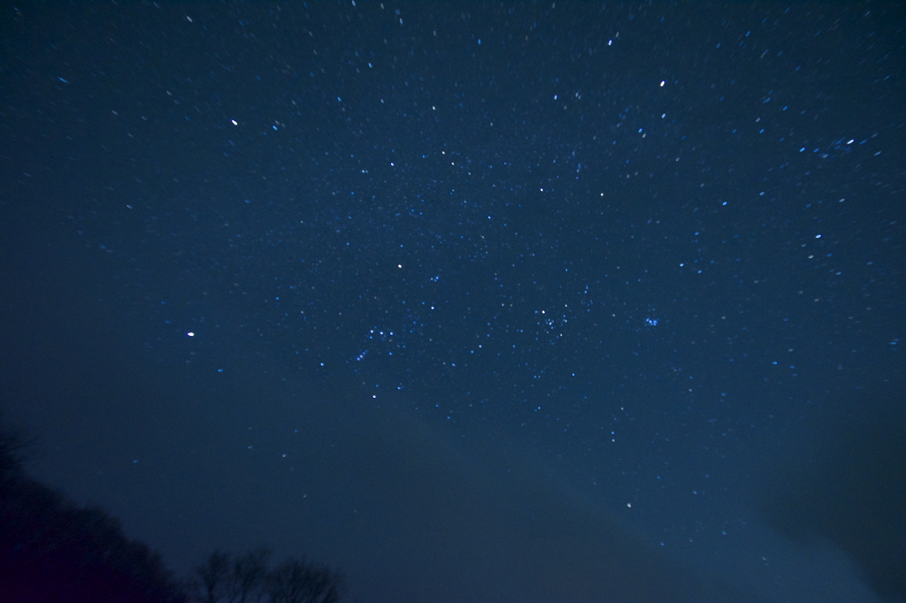 初春の星