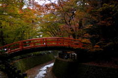 京都の秋