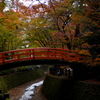 京都の秋