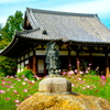 秋桜寺