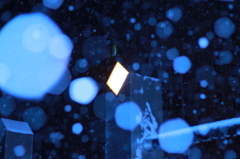 雪の光