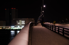 夜のお散歩(4)