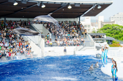 京都水族館にて